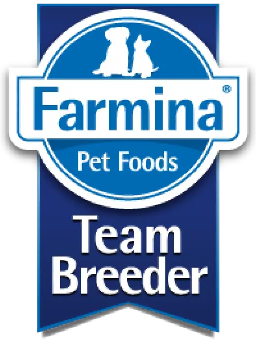 TEAM BREEDER
